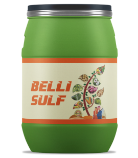 Belli Sulf