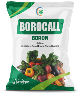 Borocall
