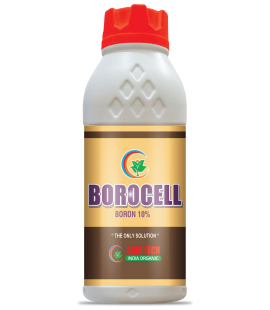 Borocell